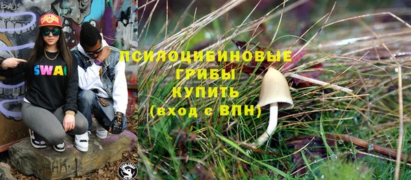 СК Михайлов